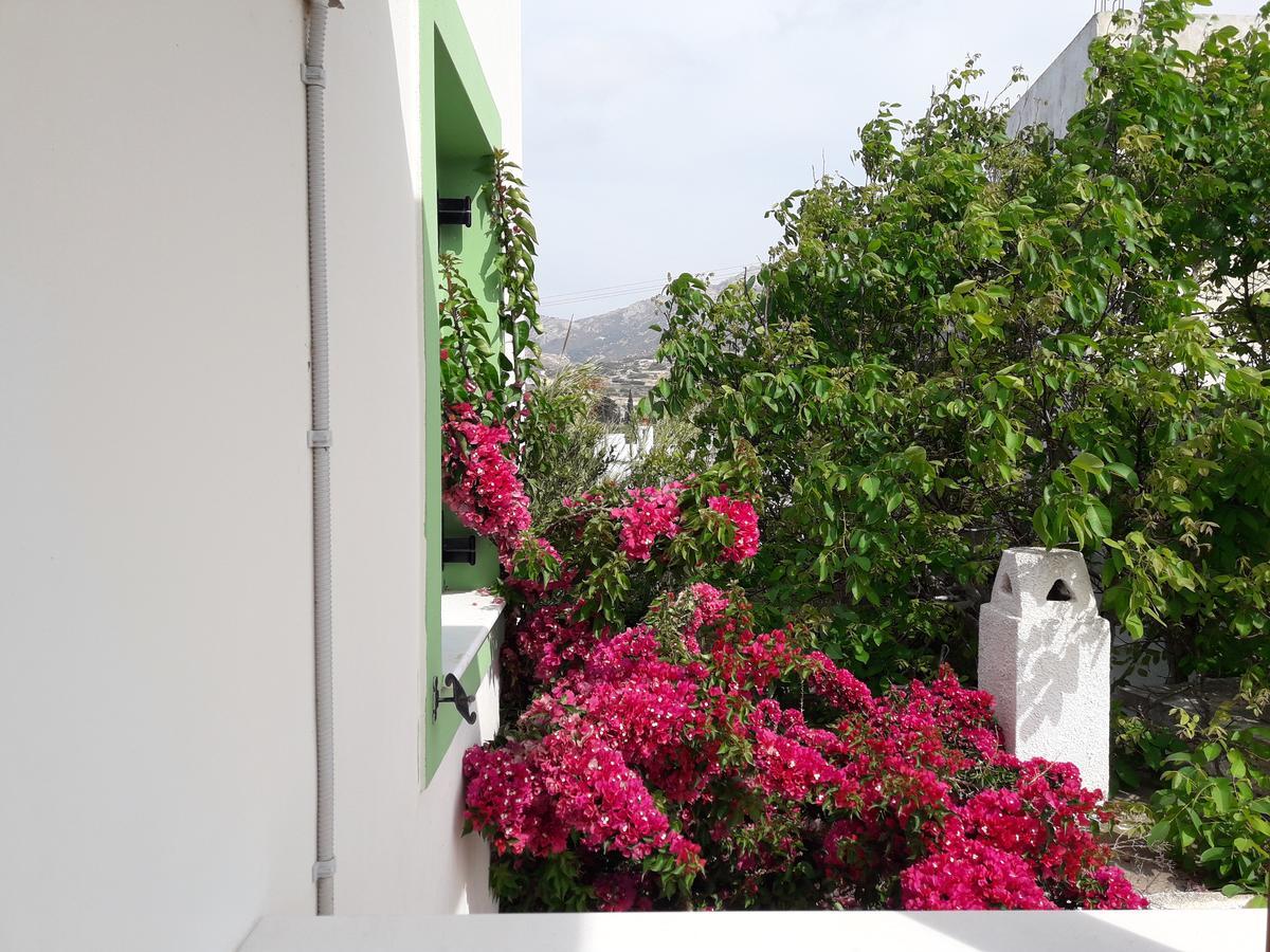 Naxos Olive & Home Engares Exterior photo